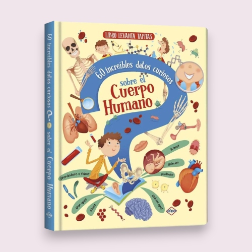 Distribuidora Coquito: Levanta Tapitas Cuerpo Humano