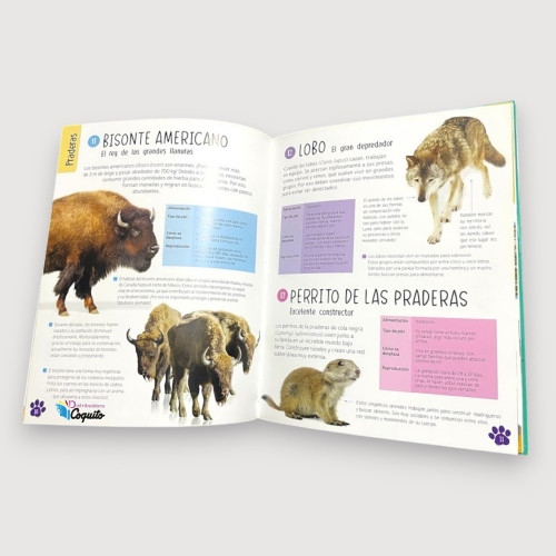 Distribuidora Coquito: 101 Animales