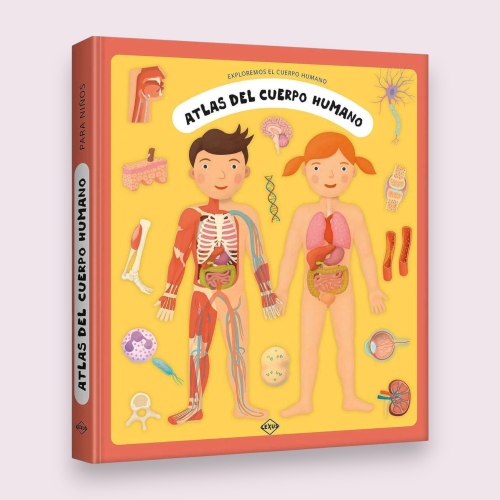 Distribuidora Coquito: Atlas del Cuerpo Humano