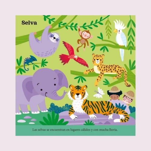 Distribuidora Coquito: Piezas de Juego Selva